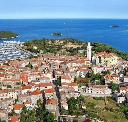 Galeb *