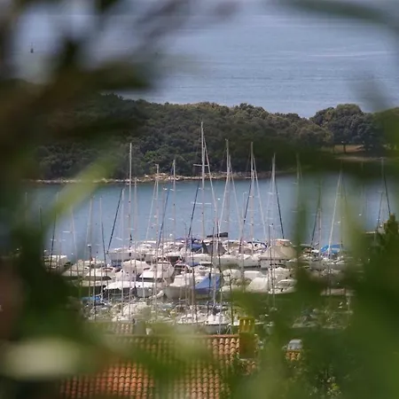 Galeb Vrsar