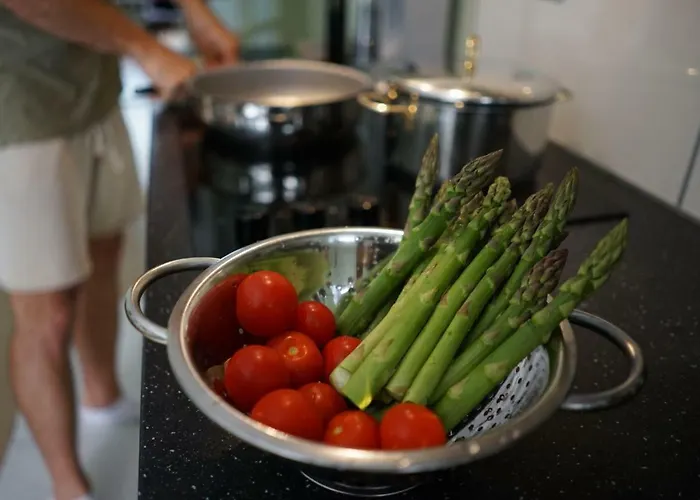 Galeb * 브르사르